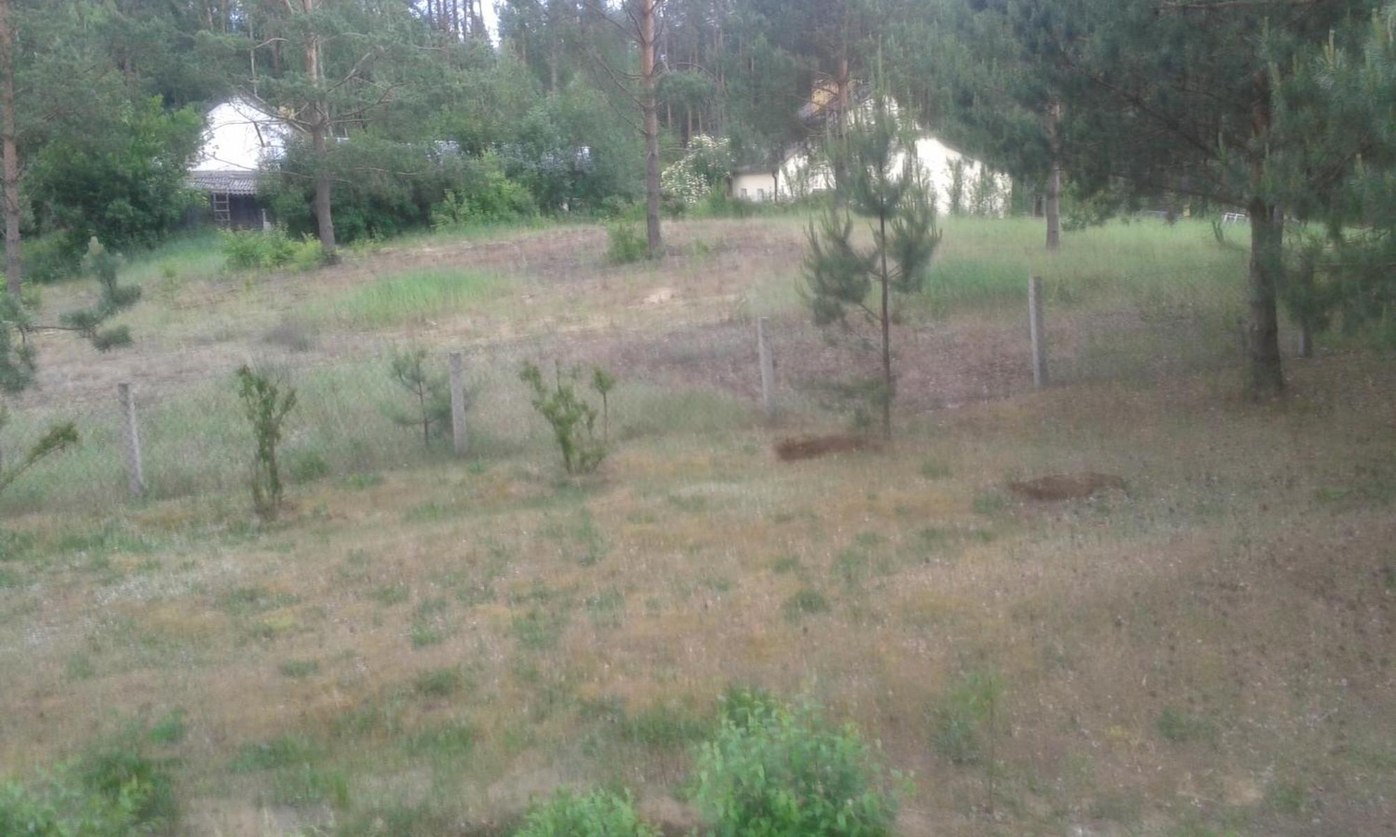 Domek Lesna Przystan Strekowizna Buitenkant foto