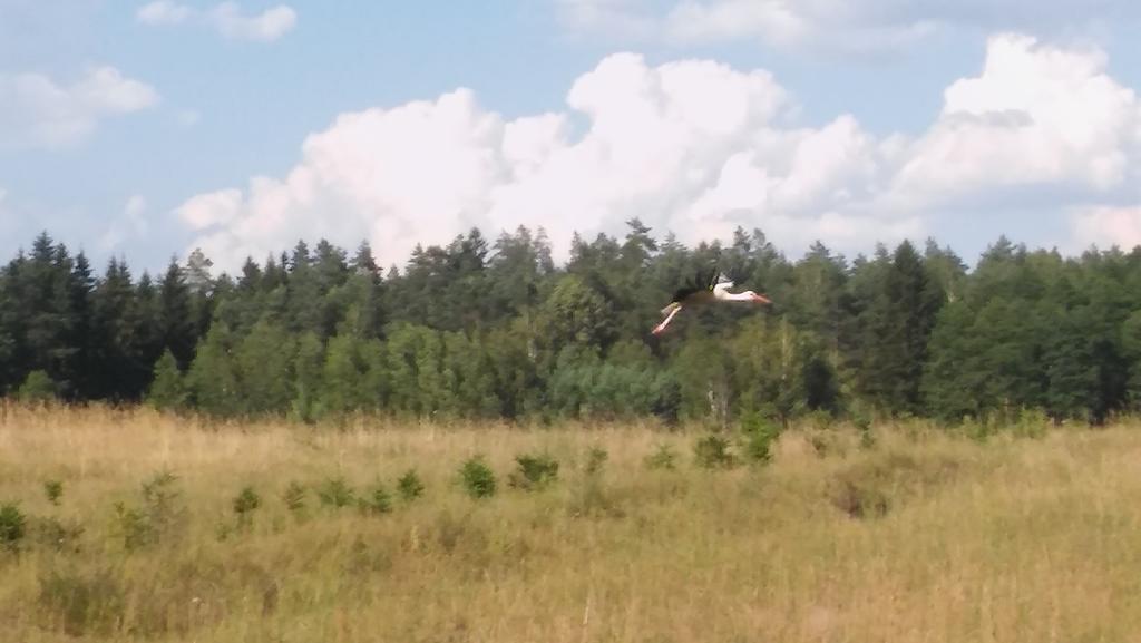 Domek Lesna Przystan Strekowizna Buitenkant foto